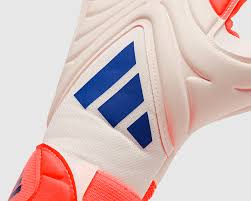 Găng Tay Thủ Môn Chính Hãng Eepro D-Max 2 EG10R1